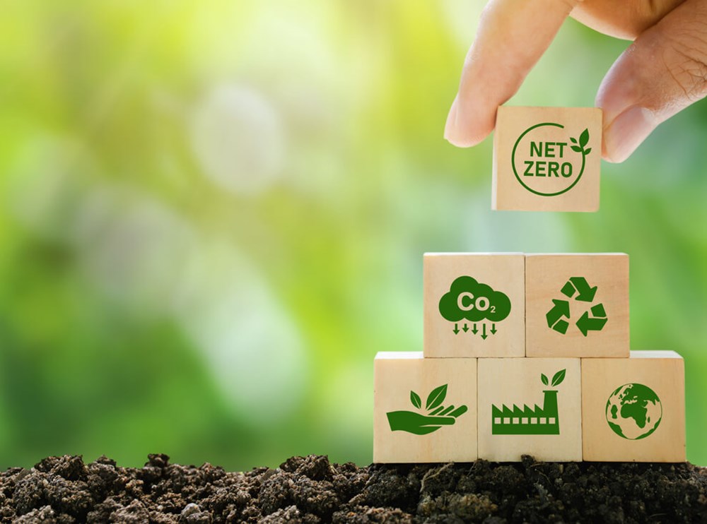 Why is Sustainable Procurement Important?