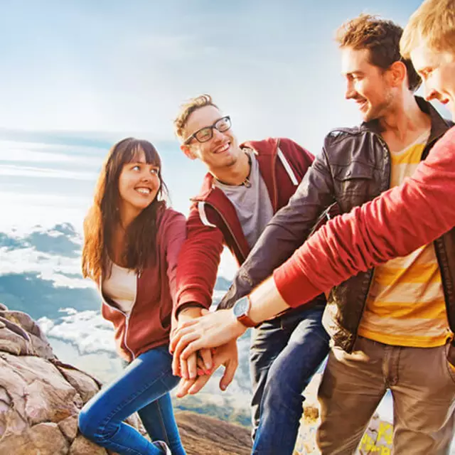 All Risk Management The Four Types of Risk Management