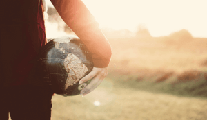 Global Trends in eAuctions