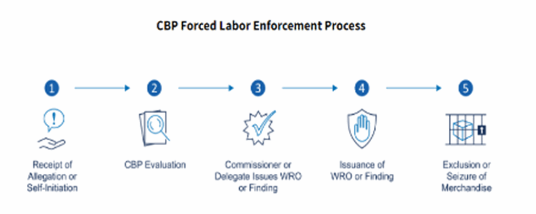 CBP Forced Labor Enforcement Process