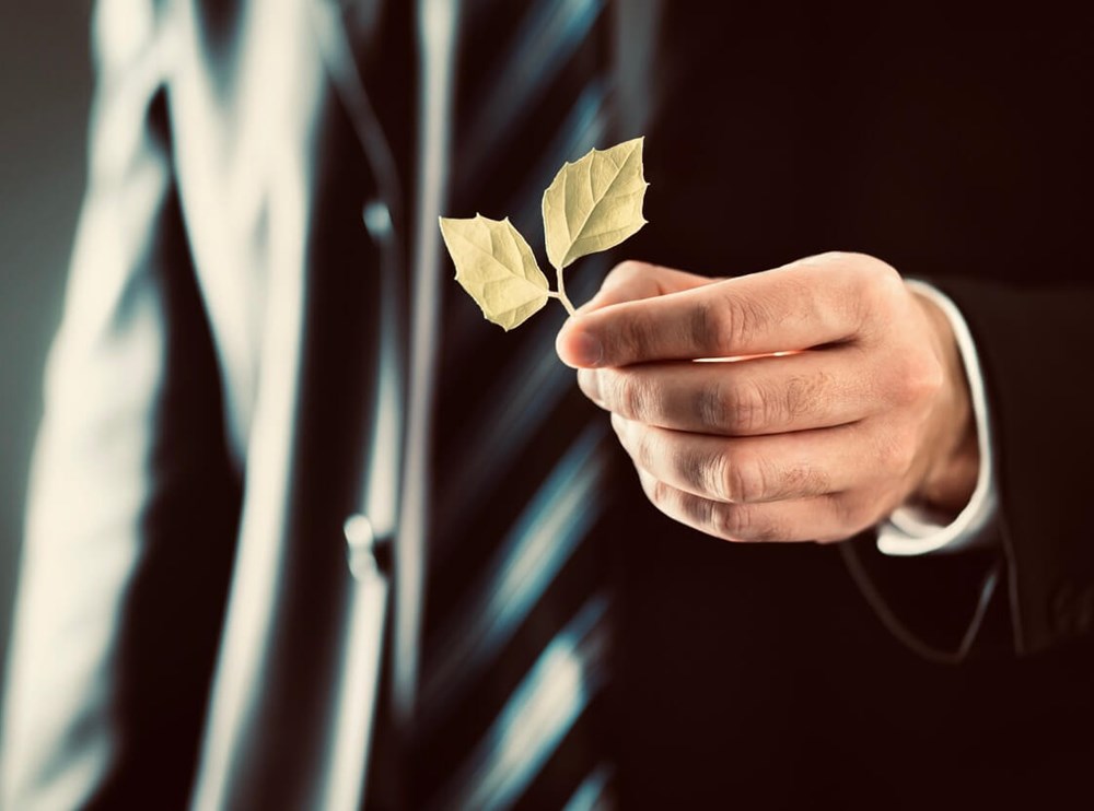 Going Green with Contract Management Software