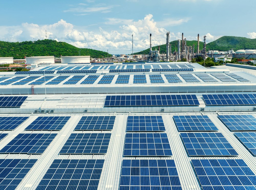 Why Choosing Sustainable Suppliers Boosts Organizational Growth